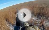 2011-2012 GoPro Colorado Pheasant Hunting Highlights