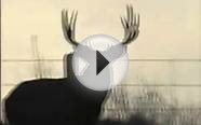 6x7 Montana Mule Deer Monster