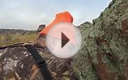 2015 Mule Deer Hunt In Wyoming | Peak Adventure Outfitters