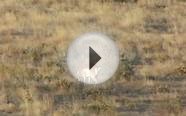 AETV 2010 Webisode 14 - Colorado Rifle Antelope Hunting