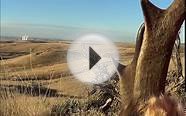 Antelope Hunting Craig Co