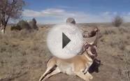 Antelope scoring.. Hunt in Northern Colorado for Antelope