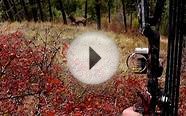 Archery Elk Hunting Self Filmed POV - Long Range Spotting