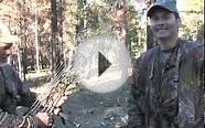 Arizona Elk Hunting- NW Archery hunt with Chappell Guide