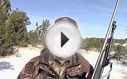 ArizonaTrophy Mule Deer hunting with Timberland Outfitters