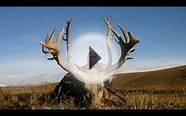 Big Game Hunting - Pampa Adventures