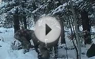 Bow & Arrow Mountain Lion Hunt in Colorado