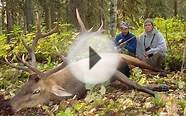 British Columbia Elk Hunt During the Rut - Outfitter