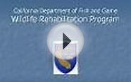 California Department of Fish and Game Wildlife