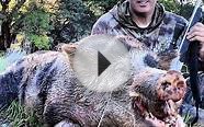 California Hog Hunting Outfitter on Private Land