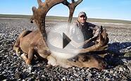Caribou Hunting Outfitters, Tips, Videos and Information