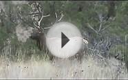 Central Oregon Private Land Elk