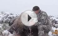 Colorado Archery Buffalo Hunt