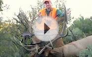 Colorado Big Game Hunting & Ranching for Wildlife: Kessler
