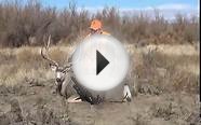 Colorado Eastern Plains Mule Deer Hunt