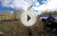 Colorado Elk Hunt 2014