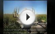 Colorado Mule Deer Hunting