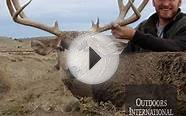 Colorado Mule Deer Hunting on Private Ranch