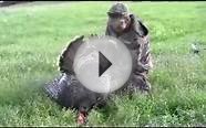 Colorado Turkey Hunting 2011