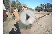 Coyote Hunting in Nebraska with The Hunting Company