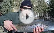 Dan Oyama - Fly Fishing Colorado