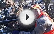 Darrs Colorado Rifle Mule deer Hunt with Colburn and Scott