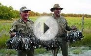 Dove Hunt "Dove Hunting in Colorado"