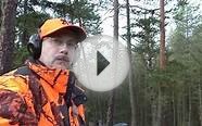 Drückjagd 2015 /Driven Hunt December 2015/ Battue au Gros