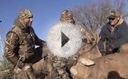 Droptine buck & Muledeer hunt