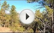 Elk Hunting Outfitters, Elk Hunts, Trophy Bull Elk Hunting