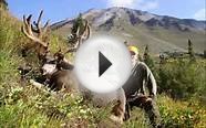 Elk Hunting Trips in Colorado