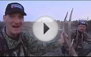 Elk Hunts, elk hunting outfitters, bison hunting guides