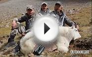 Father and Son Double on Mountain Goat Hunt in Colorado
