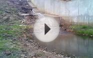 Fly Fishing For Trout in Colorado - Kid Learning To Cast a