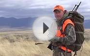 Four Tips For Hunting Post-Rut Elk