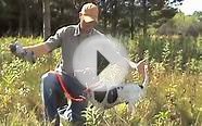 Free Hunting Dog Training Videos - Willow Creek Kennels