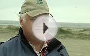 Galveston Oil Spill Wildlife Impacts - Texas Parks and