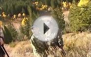 Golightly Trophy Elk Hunts in Idaho