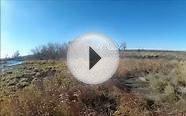 GoPro Pheasant Hunt Colorado