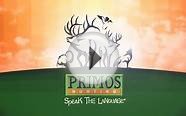 Gun Hunting Elk in New Mexico with Team Primos _PTAH1101