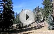 Hiking up to deer in the Colorado Rocky Mountains