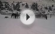 Horses Run in Southwest Montana at Upper Canyon Outfitters!