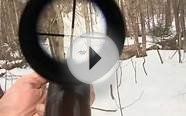 How to Understand Hunting Regulations