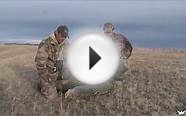 Hunting Coyote in Colorado