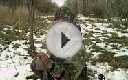 Hunting Deer with Bow in Colorado