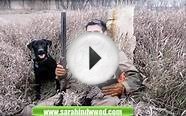 Hunting Dog Names Tips - Dog Training Colorado Springs CO