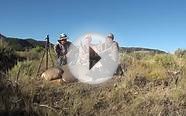 Hunting Wyoming Mule Deer On Public Land