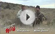 Idaho Mule Deer Super Tag 210 B&C Buck - MossBack