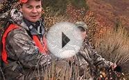 Long Range Pursuit - Colorado Elk at Half Mile