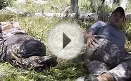 Missionary Ridge Productions | Elk Hunting 2014 | Durango Co.